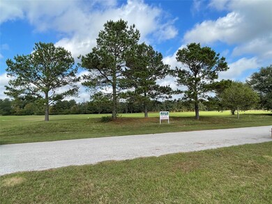 Lot 3 Meadow Lake, Magnolia, TX 77355 - photo 6