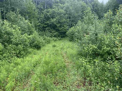 Route 3 Hwy, Columbia, NH 03576 - photo 3