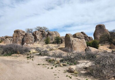 Repollo Rd SW, Deming, NM 88030 - photo 4