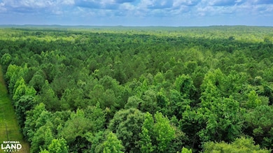 0 Attala Rd 3217 New Salem Rd, Kosciusko, MS 39090 - photo 7