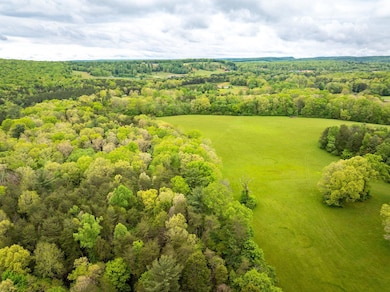 28-web-or-mls-DJI_20250505100257_0085_D-