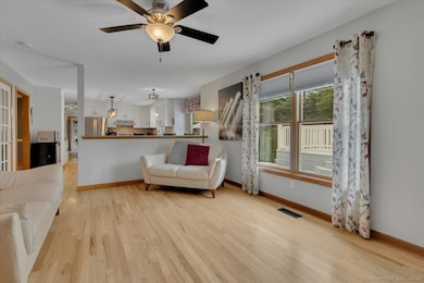 206 Mountain Pond Rd, Southington, CT 06489 - photo 4