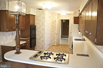 6361 Lyric Ln, Falls Church, VA 22044 - photo 7