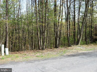 0 Miller Rd unit 1000121719, Basye, VA 22810 - photo 3