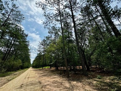 Lot 4 Ranchero Rd, Covington, LA 70435 - photo 4
