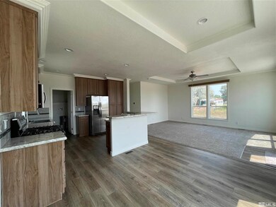 3660 Bottom Rd, Fallon, NV 89406 - photo 3