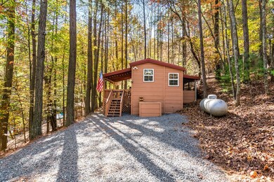 151 33rd St, Ellijay, GA 30540 - photo 4