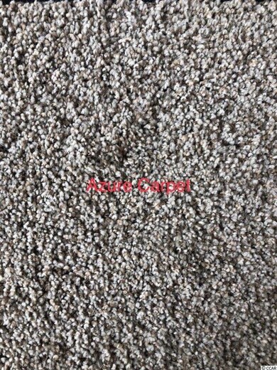 4380 Dew Ln unit Cottonwood Plan, Conway, SC 29527 - photo 2