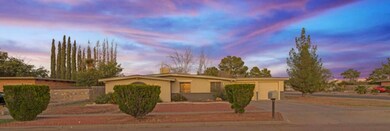 17000 Carson Dr, Horizon City, TX 79928 - photo 3