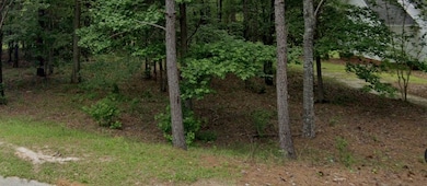 Lot 3 Hummingbird Ln, Moultrie, GA 31768 - photo 3