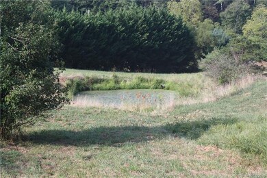 Pond on lower portion of acreage.