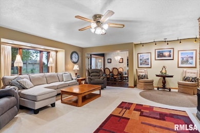 5810 Maxheimer Rd unit 1, Rochester, IL 62563 - photo 7