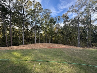 3360 Trevi Trail, Douglasville, GA 30135 - photo 5