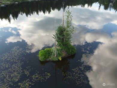 1 Island @ Lake Whitman, Graham, WA 98338 - photo 4