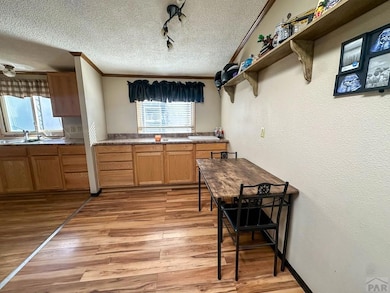 709 W Elm St, Lamar, CO 81052 - photo 4