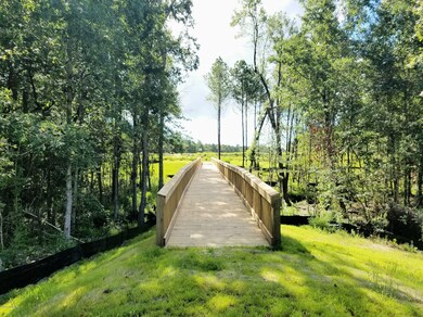 Wooden Bridge - Walking Trail