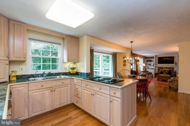 16 Franklin Valley Cir, Reisterstown, MD 21136 - photo 7