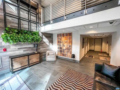 218 W Water St unit 703, Charlottesville, VA 22902 - photo 4