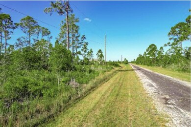 0 Calliandra Dr unit R11146493, Indian Lake Estates, FL 33855 - photo 3