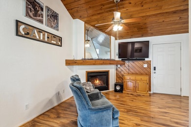 9055 Juniper Rd, Pine, AZ 85544 - photo 5