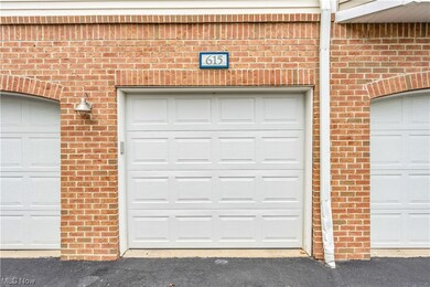 615 Aqua Marine Blvd unit 15, Avon Lake, OH 44012 - photo 4