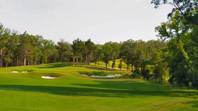 432 Medallion Club, Gordonville, TX 76245 - photo 3