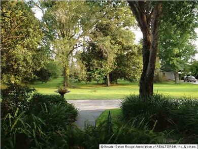 Front View Of Yard