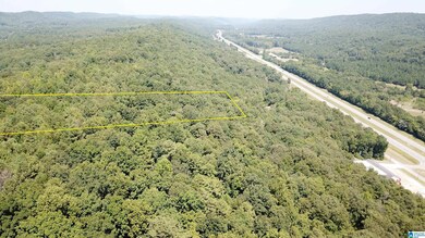 0 Taylor Rd unit 21396069, Remlap, AL 35133 - photo 2