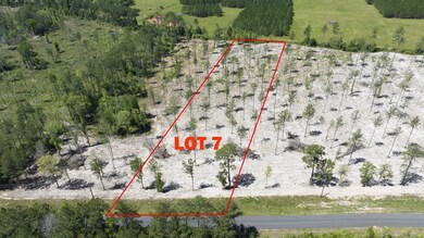 0 Paul McMilian Road (Tract 7) unit 2-5629, Deridder, LA 70634 - photo 2