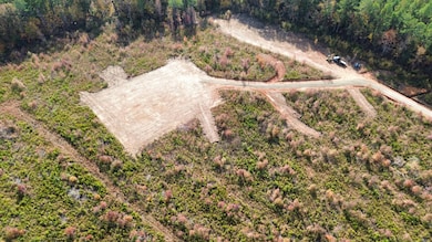 0031 State Road S-40-232 unit 31, Elgin, SC 29045 - photo 2