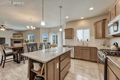 4616 Halite Way, Colorado Springs, CO 80938 - photo 3