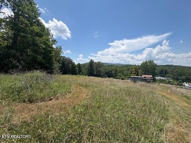 0 Old Harriman Hwy unit 1310037, Harriman, TN 37748 - photo 7