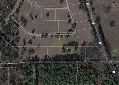 Hunters Hollow Dr, Mount Vernon, TX 75457 - photo 7