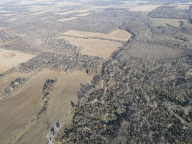 000 County Highway 7, Cisne, IL 62823 - photo 4