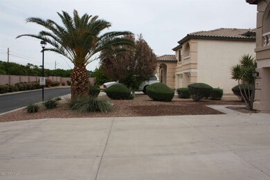 Front Yard 2