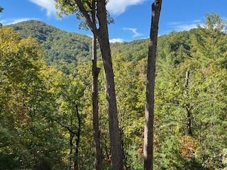 Loaded With Beautiful Hardwoods