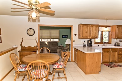 1518 Jodi Ct, Morris, IL 60450 - photo 5