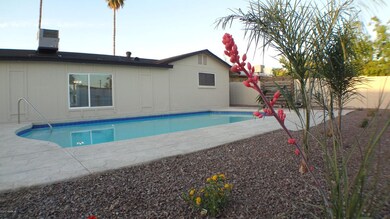 1723 W Carmel Avenue, Mesa AZ 85202 (3)
