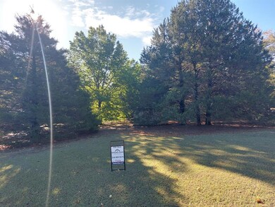 TBD Mano Ln, Sadler, TX 76264 - photo 4