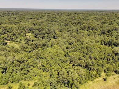 000 S Highway 61, Vicksburg, MS 39183 - photo 7