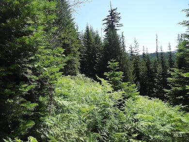 TBD State Highway 11, Pierce, ID 83546 - photo 6