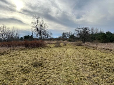 23169 1 Mile Rd, Reed City, MI 49677 - photo 4