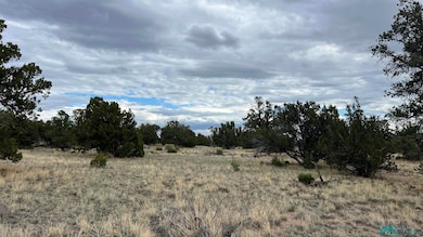 View of undeveloped land featuring rural landscape