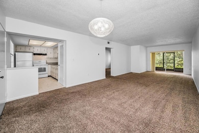 860 Virginia St unit 105, Dunedin, FL 34698 - photo 5