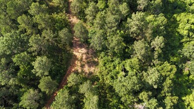 + - 79 Acres unit Leake County MS, Carthage, MS 39051 - photo 3