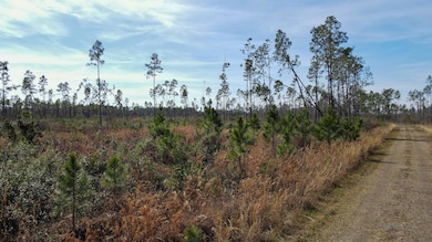 Lot 49 Circle Block Loop, Perry, FL 32348 - photo 3