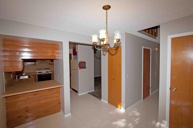 Kitchen Bar