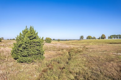 000 County Road 4331, Larue, TX 75770 - photo 6