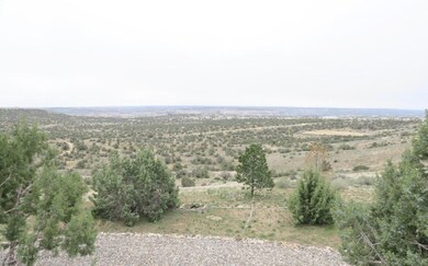159 Road 3950, Farmington, NM 87401 - photo 5