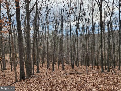 LOT-11 Deer Run Rd, Baker, WV 26801 - photo 6
